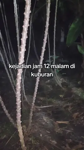 munculnya pocong dikuburan #penampakan #misteri #horor #duadunia #mitos #indigo #paranormal #pocong #mistik 