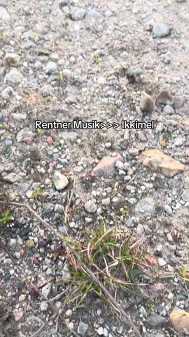 #fy#fyp#likes#titkok#rentnermusik#musik#musikgeschmack#80er#90er 