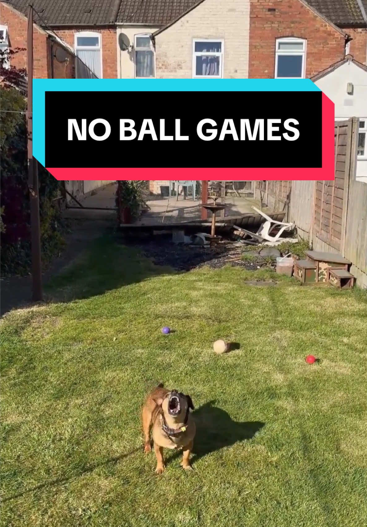 #fyp #dog #doglover #play #toys #paranormal #ghost #entity #play #sunshine No Ball Games! - Dog's Play Session Spoiled by Entity!  Kays was in the garden with Mr Moose playing fetch....or trying to! She was filming him for a family group chat for her Nanna & Grandad who have been unable to visit because of recent illness. As you can see in the video, our garden isn't even safe from the Entity! It launches 3 of Mr Moose balls towards Kayleigh, narrowly missing her! They hit our garage behind Kays with a thump, which shows you the force at which they were launched at her! @Girl Carnage @🌿 Gem on Mounjaro 🌿 @jamiecottee @Doccot 