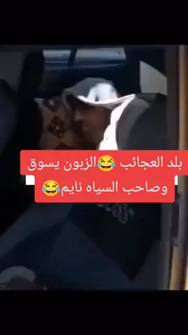 #شعب_الصيني_ماله_حل😂😂 