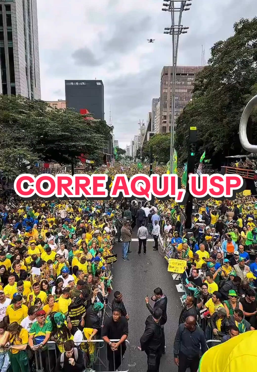 Cadê os esquerdistas da USP para dizer que deu 18 mil? É um mar de gente! Vão ter de lançar um novo curso de matemática para ver se esse povo aprende a contar #fy #fyp #bolsonaro #8dejaneiro #anistia #alexandredemoraes #stf #brasil #ultimasnoticias #politica #bolsonaro #flaviobolsonaro #manifestacao #anistiaja 