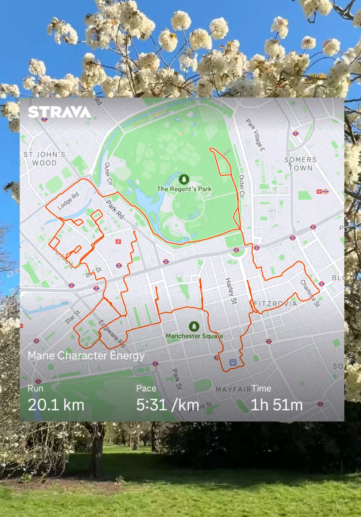 watch til the end to see what I drew 👀🏃🏽‍♀️☀️ #stravaart #londonmarathon #marathontraining #marathon #runnergirl #londonrunning #strava 