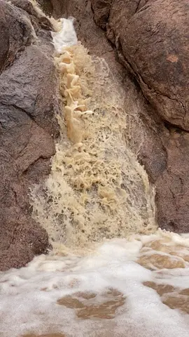 #حائل #hail #viral #fypシ゚ #اكسبلورexplore #اكسبلور #اكسبلور#حائل_شعيب_السلف #امطاراليوم #امطار_حايل #حايلنا_اكسبلور 