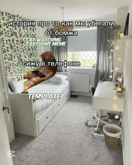 #кот #рекоминдации #историикотов #история 