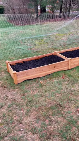 beds are filled ✅