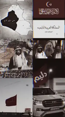 🤩🔥. #البوعبيد #مروين_الرهايف #خيال_الهدلا #دليم 