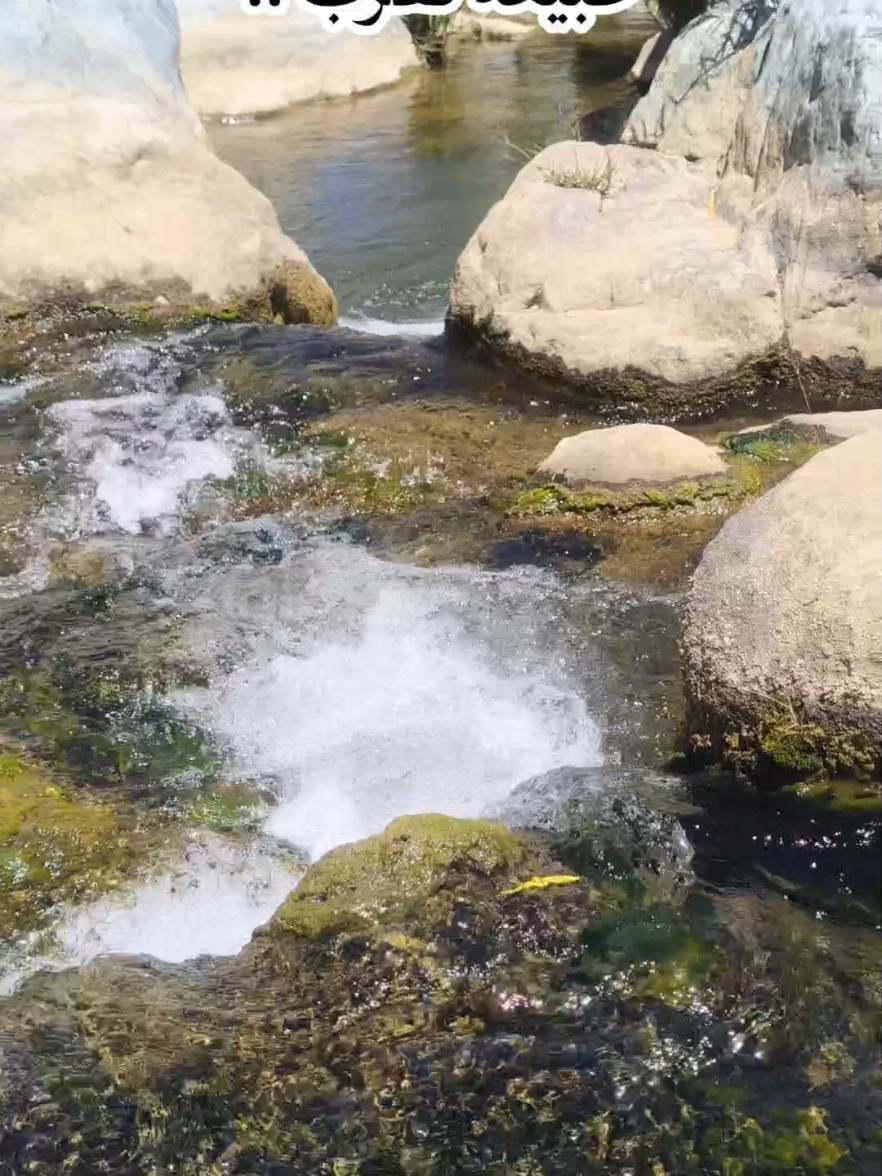 #الباحة #غامد #زهران #الديرة #شلال #طبيعة #رغدان #albaha #CapCut #nature #اكسبلورر #اكسبلور #اكسبلورexplore 