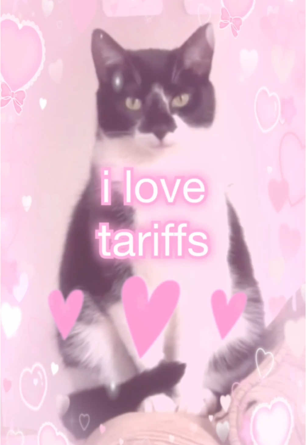 only the rich and elite should be able to buy things❤️💕💵 #cat #cats #catto #catmeme #catmemes #funnycat #funnycats #cattok #fyp #meme #memes #funny 