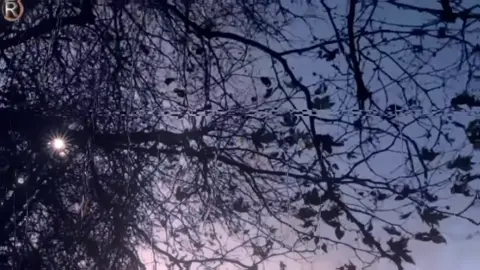 قلبي من العشق تاب#tiktok #foryou #viral #اغاني #اغاني_عراقيه #اغاني_مسرعه💥 #اكسبلور #fyp #سيف_نبيل 