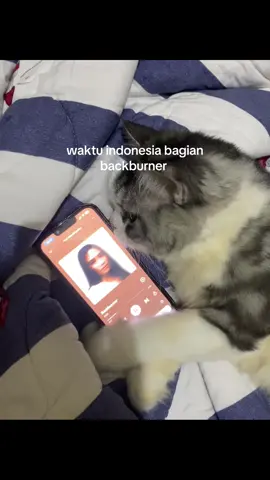 backburner ga kaa?? #fyp #backburnerniki 