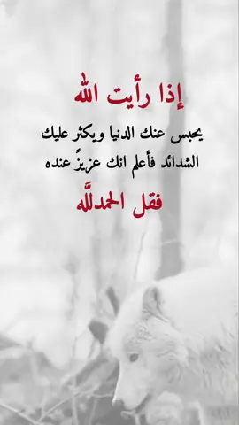 #الحمدلله_دائماً_وابداً #الحمدلله_دائماً_وابداً #اكسبلورexplore #عبارات 
