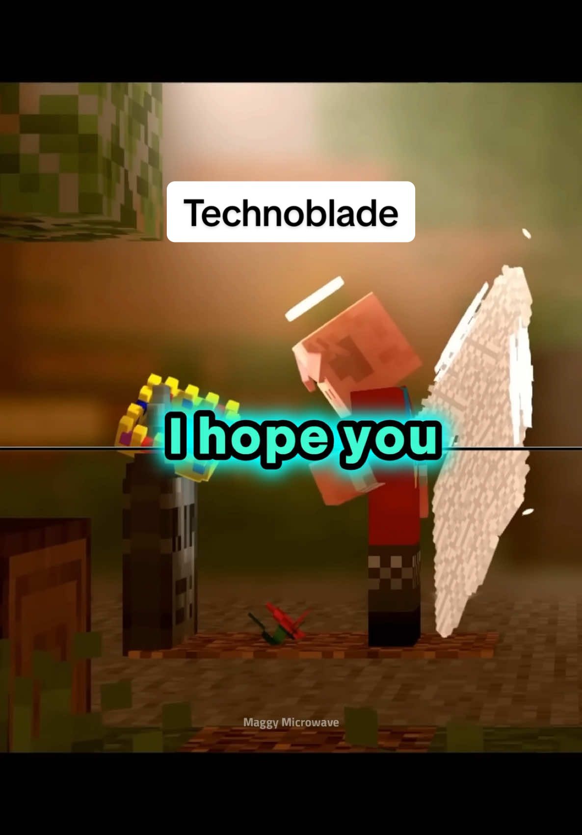 You meant the world to us ♥️ #technoblade #Minecraft #fyp 