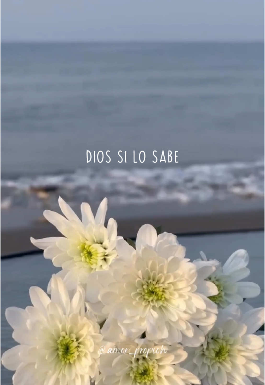 Dios sabe por lo que estás pasando 🙌🏻🫶🏼 . . . . . #diosesamor #diossabeloquehace #leccionesdelavida #reflexionesdevida #mensajespositivos #amor_propioh