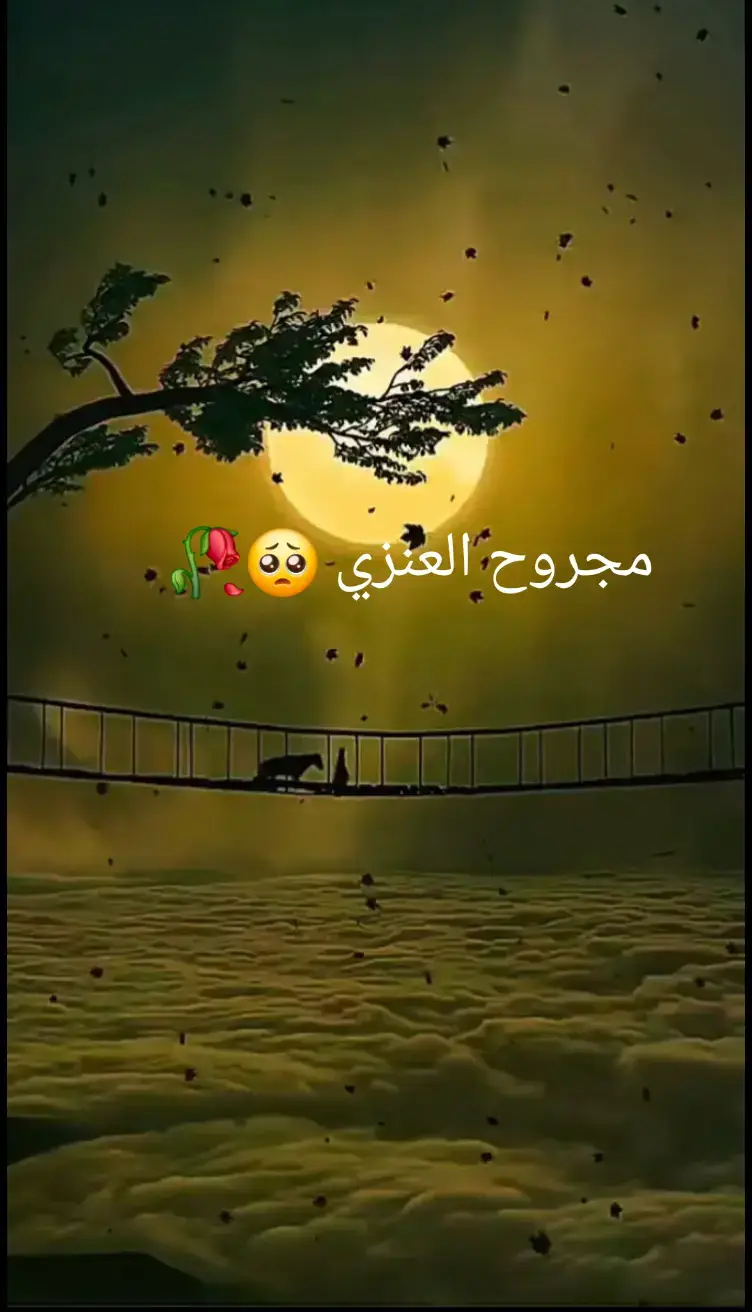#مجرد________ذووووووق🎶🎵 