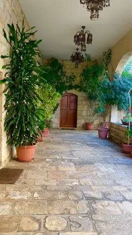 #فيروز #فيروزيات #لبنان #🇱🇧🇱🇧🇱🇧 