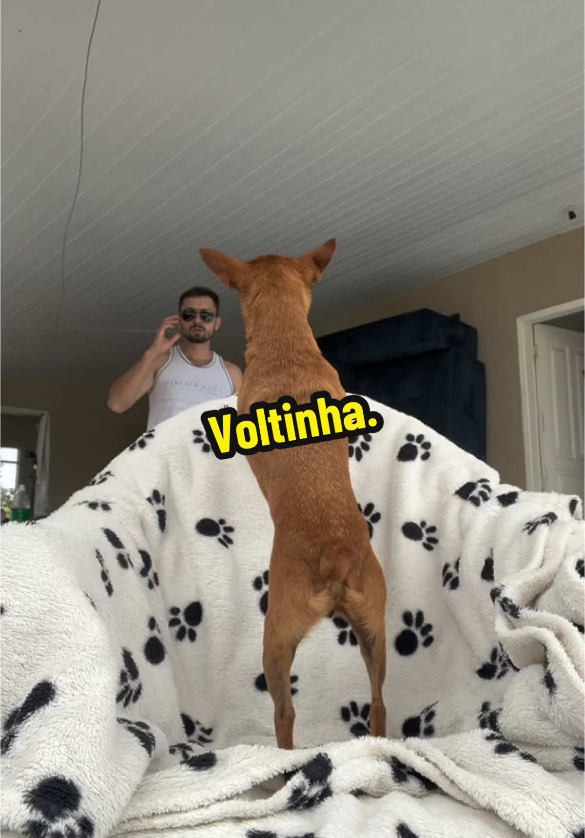 E aí, é tudo isso?