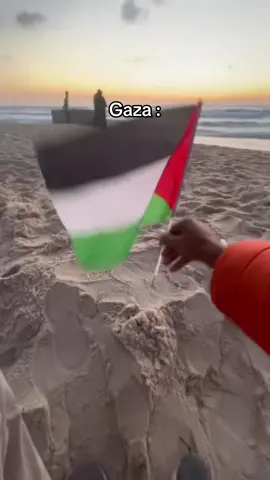 #fyp Donation link in bio🇵🇸🍉