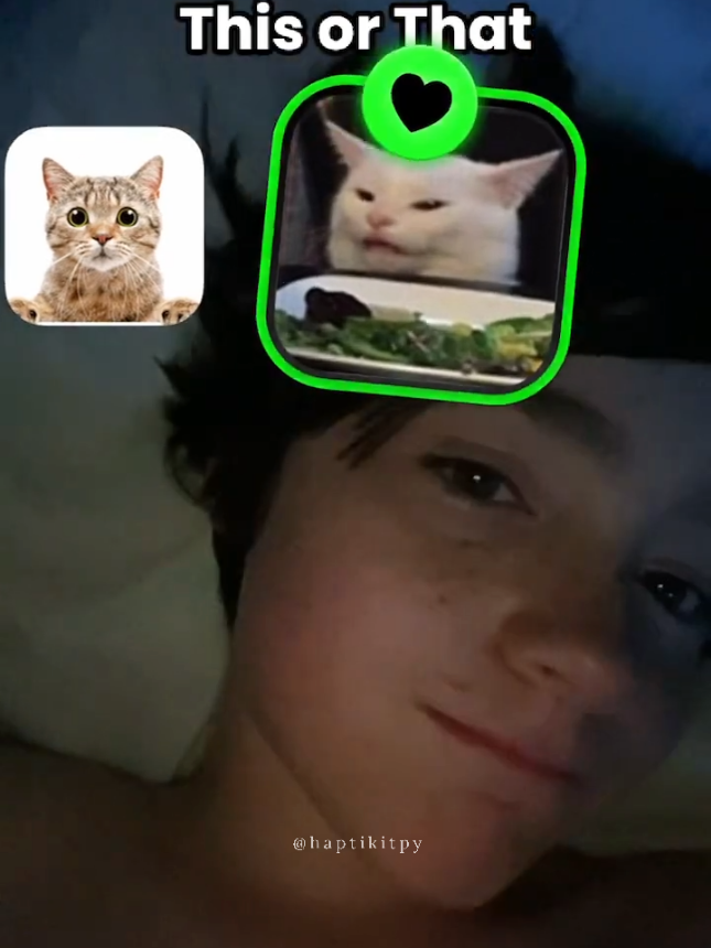/Gage 🌙 He loves kittens 😊 #deaf #childhood #boy #son  #handsome #vibes #handsmeboy #thisorthat #foruyou #usa_tiktok #us #fyp #fyppp 