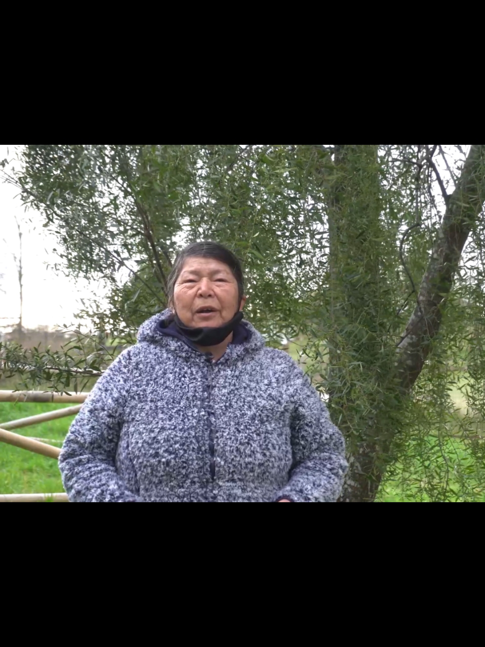 Ella es Julia  del Carmen Chuñil Catricura, una mujer que a pesar de su triste infancia siempre mostraba una sonrisa, una abuela muy sabia y orgullosa de sus raíces, desaparecida desde el pasado 8 de noviembre del 2024  junto con su fiel perro cholito, Posteriormente mente con todo esto la familia aun así seguirá buscando la justicia, día a día de unen organizaciones y fundaciones colectivas, que nos ayudan día a día a sensibilizar el caso de Julia Chuñil Catricura, a nuestro pueblo Mapuche y muchos pueblos más que los han brindado el apoyo y nos dan las fuerzas para seguir en busca de la verdad, Julia no estaba sola , hoy en día todo chile se pregunta  ¿CHEW MÜLEY JULIA CHUÑIL? Julia tu familia te busca y te buscará hasta encontrarte, hay día en que perdemos las esperanzas de contrarte con vida, pero aun así Julia tienes que volver a tus tierras y ser despedida como corresponde, todo el pueblo te espera, y te mereces un descanso digno de una mujer guerrera.🤍 #chilee #parati #casojuliachuñil #mujer #convocatoriajuliachuñil #MedioAmbiente #Juliachuñilcatricura #dondeesta #DerechosHumanos #mapuche 