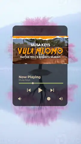 #Musa Keys#Vula Mlomo (feat. Sir Trill & Nobantu Vilakazi) [Radio Edit] #amapianoexclusives #amapianosalifestyle #lockedtunes rm #pianohub T #sa= #southafiricatiktok产 #amapiano2025 #explorepage #tiktokviral #trending #SAMA28 #fypviralシ