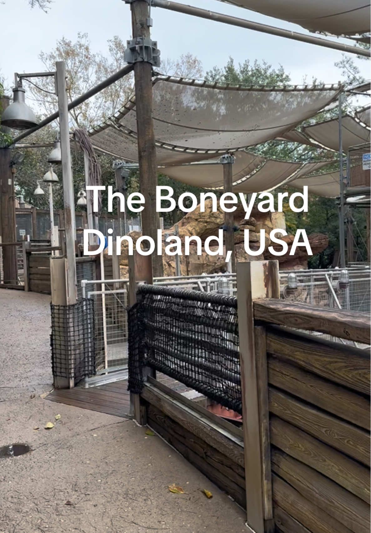 One last look at The Boneyard in Animal Kingdom before it closes to make way for Tropical Americas. Who else is gonna miss this spot? #DisneyNews #AnimalKingdom #DisneyParks #TheBoneyard #TropicalAmericas #DisneyWorldUpdate #ThemeParkNews