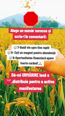 #baniusor #abundenta #manifestare #legeaatractiei #GandirePozitiva 