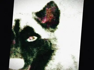 Creepypastas had the biggest fall off💔#smiledog#smiledogcreepypasta#smiledogedit#creepypasta#creepypastaedit#cleareyes#edit#fypシ゚#capcut_edit#tevvnx#tevnvx#foryourpages#fypage#fpy#alightmo 