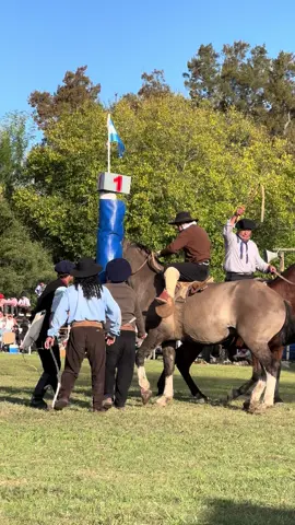 Un Lujo!!! Braian Gómez!!!!💪🏼💪🏼💪🏼💪🏼💪🏼💪🏼💪🏼 #caballos #jineteada #jinetes 