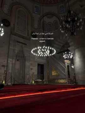 тгк в шапке📌