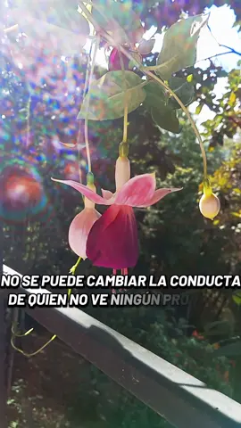 cambiar no es cuestión de fuerza,sino de conciencia. #reflexionesdevida #frasesbonitas #videosconfrases #frasesyreflexiones #parati #creatorinsights #fpy #amazing #estados #estadosdewhatsapp #reflexion #mensajesdevida 