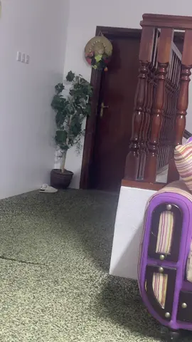 #الرياض 