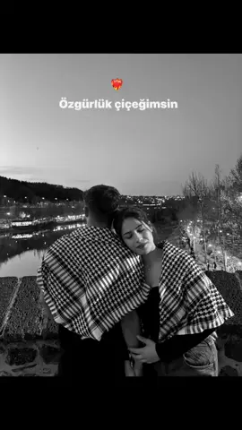 ❤️#kürtçeşarkılar #kesfetal #diyarbakir 