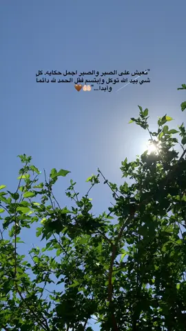 #فالحمدلله_دائماً_وابدا🤲 