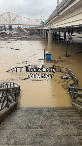 Louisville Ky Ohio River #louisvillekentucky #foryoupage #majorflooding 