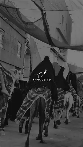 💔..  #العراق #explore #foryou #viral #اكسبلور #كربلاء #بابل #الحله #الاربيعينية 