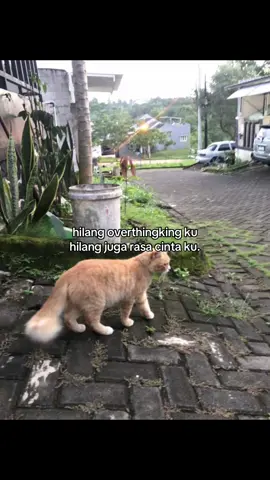 #fyp #xybca #fypシ゚ 