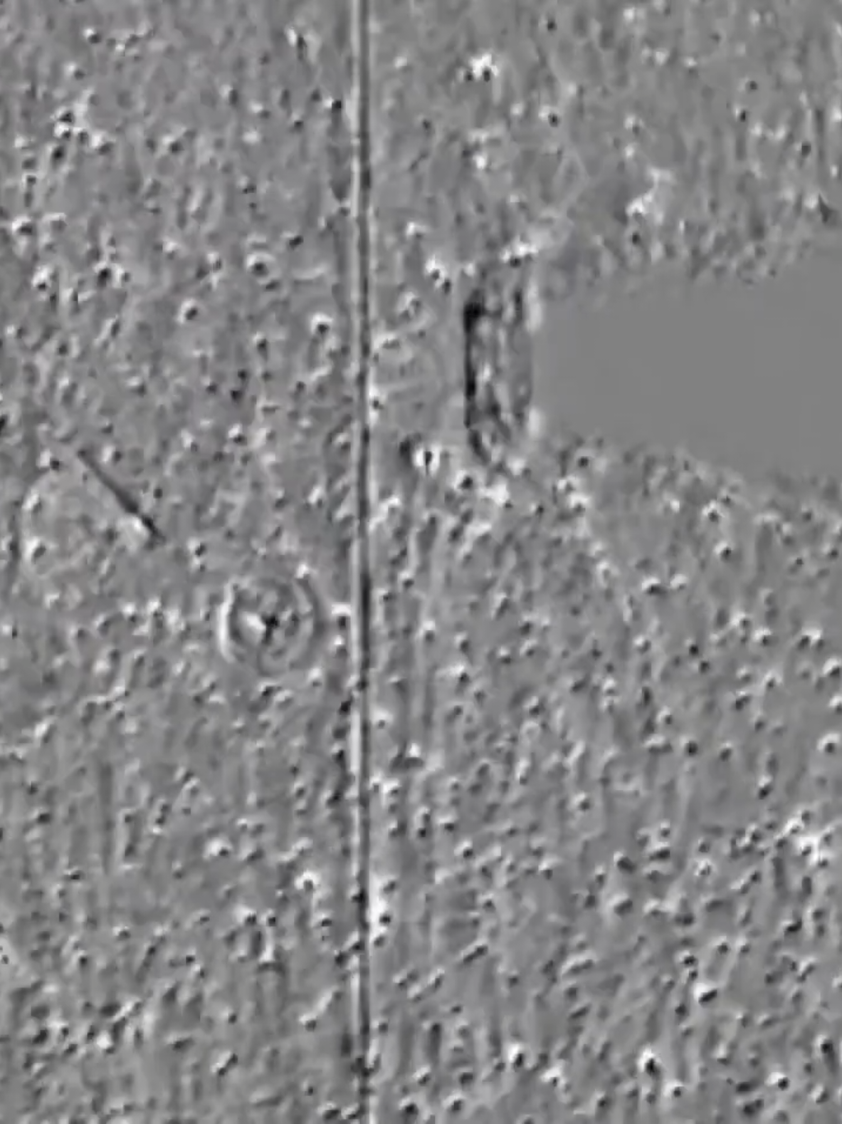 A gigantic #UFO Wheel was filmed by the STEREO-A satellite for several days in 2020, the object appears to be deploying a sort of shield #uap #ovni 
