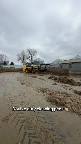 This remix is a bop. #thatfitagvocate #calvingseason #cowcalf #cowcalfbarn #feedlot #feedyard #farmtok #ranchtok #cowtok #cattletok #farmersdaughter #calvingrindz #calving2025 #calving 