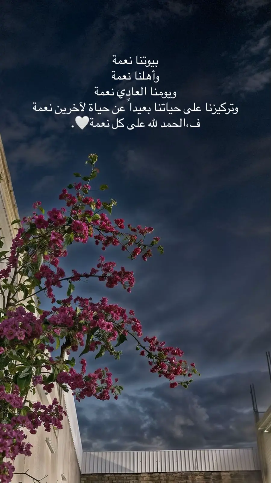 #هشتاق_اكسبلور 