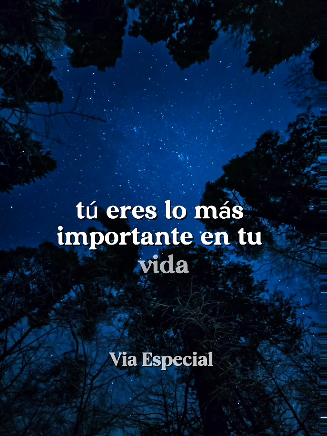 Tu Eres lo Más Importante en Tú Vida,  Valorate, Amate, porque si tu no lo haces no esperes que alguien más lo haga por ti. #amorpropio #crecimientopersonal #frasesmotivadoras #consejosdevida  #sabiduria #reflexionesdelavida #motivacion #motivation 
