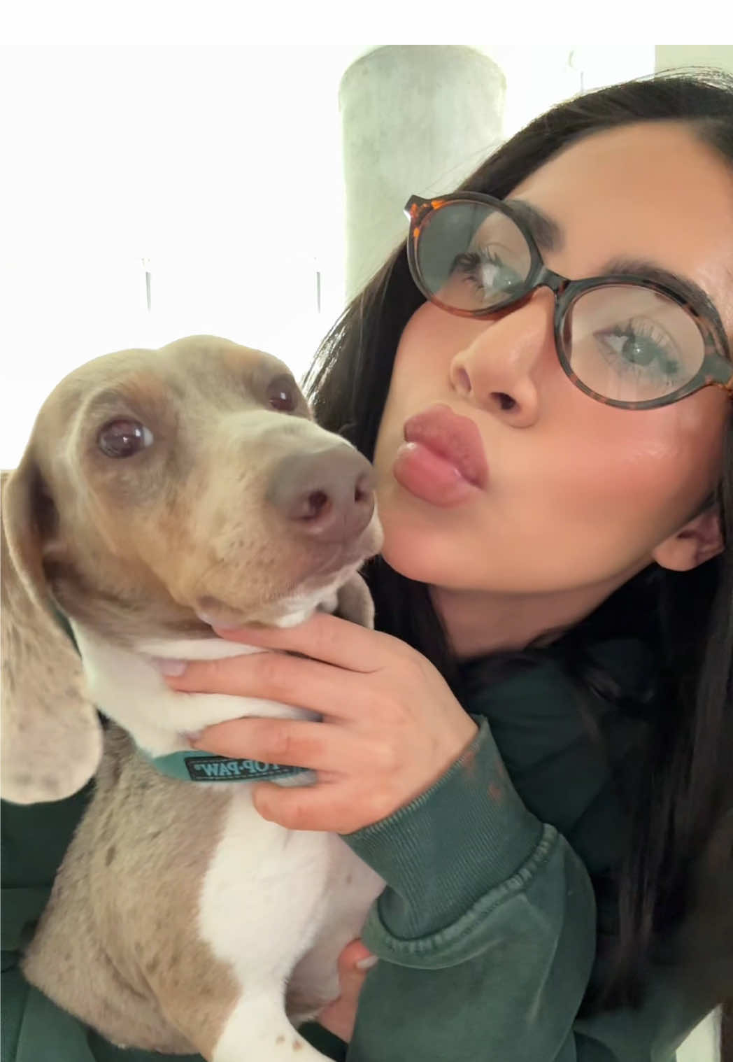 It’s somebody’s bday 🐶🧁 #dachshund #puppy #dachshundpuppy 