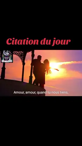 #creatorsearchinsights #proverbefrançais #citationdujour #Vlog #tiktok_india 