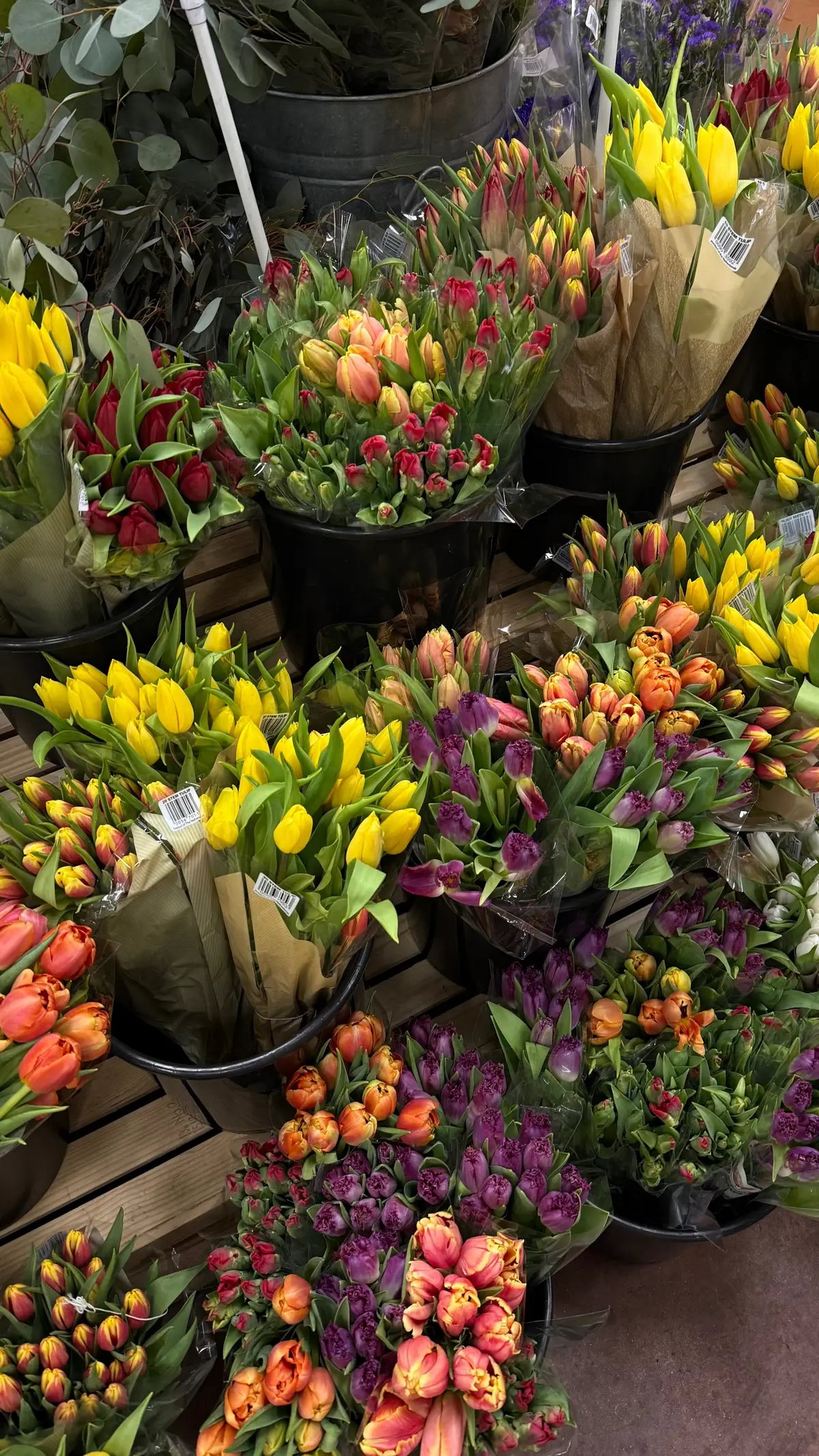 🌷🥯🍸🛍️ #girlythings #imjustagirl #girlworld #girltherapy #dallastx #lifelately 