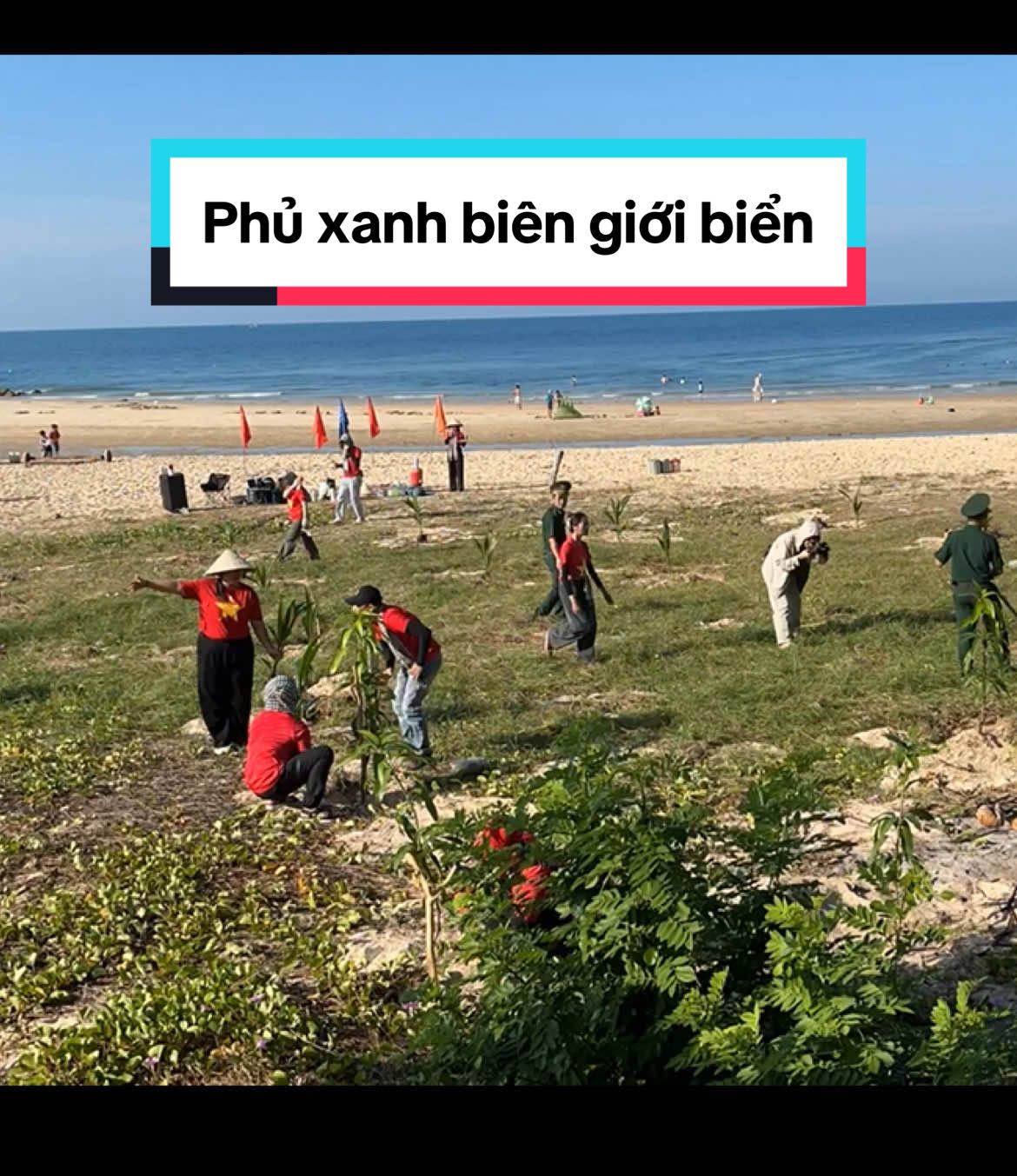 Cùng Xanh Việt Nam🌱      Trồng cây phủ xanh biên giới biển nào các Xanher ơi #trongcay #xanhvietnam #muine #phanthiet #baidaongdia #viral #tree 
