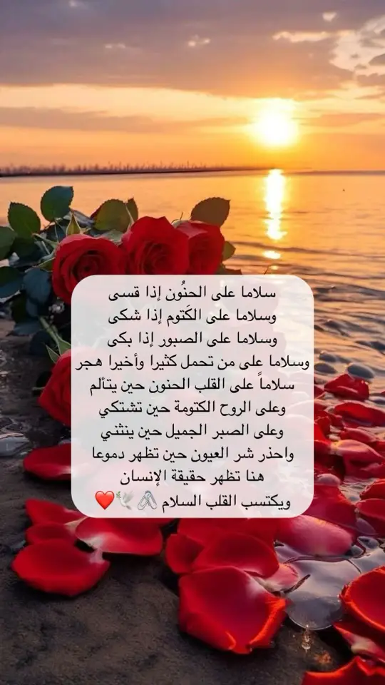 #سلام #الحنون #الكتوم #الصبور #اقتباسات #اكسبلور 