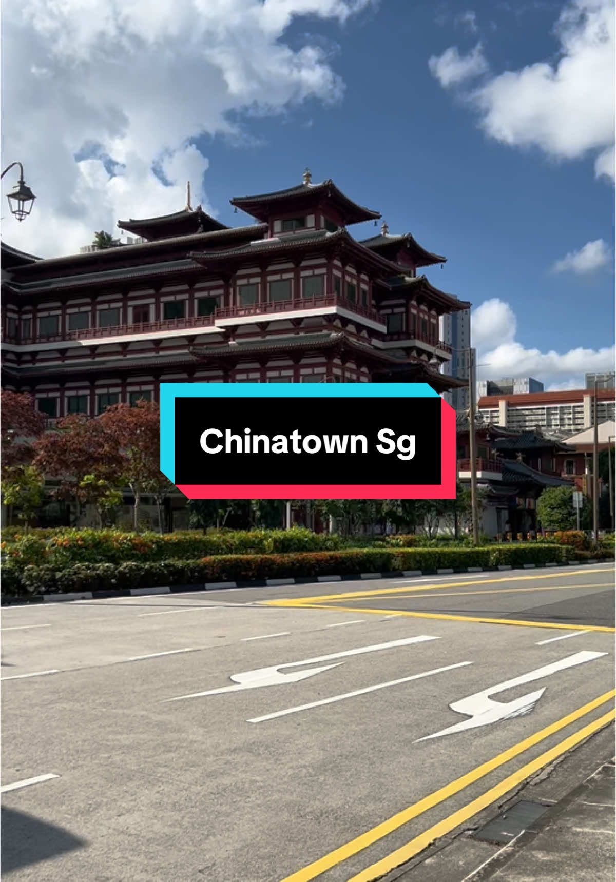 The most tolerant country, by the culture, religion and many more#niceview #singapore #chinatown 