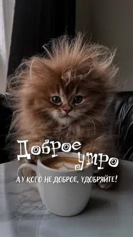 #понедельник #доброеутроновое #goodmorning #простоквашено #омичи #омск55регион #доброеутро #жизнь 