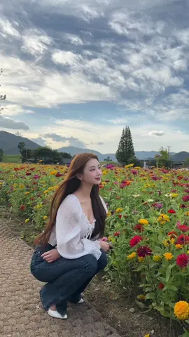🌸