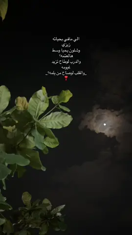 #اكسبلور #زيزي @20ZAza_ #اكسبلورexplore 