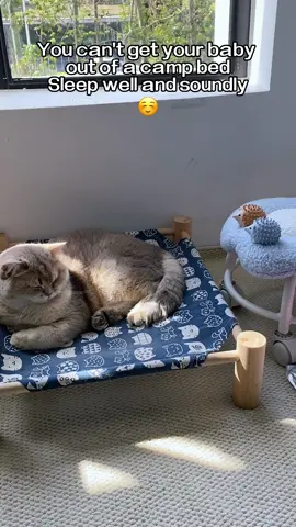 Pet babies need a comfortable bed to sleep！Can be     disassembled😍🐱☑️#pets #cats #bed #sleep#dog #convenient 